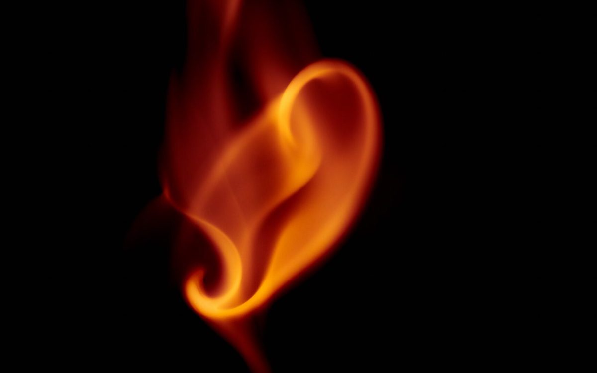 Penser avec les oreilles, entretien avec François Noudelmann