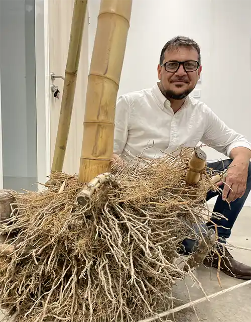 Bernard Benayou - Bambou for life